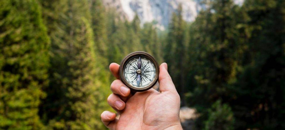 一只手拿着指南针，背景是高大的树木和山脉